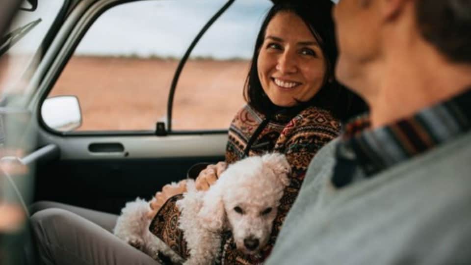 Young couple driving in car looking at one another with dog resting in woman's lap